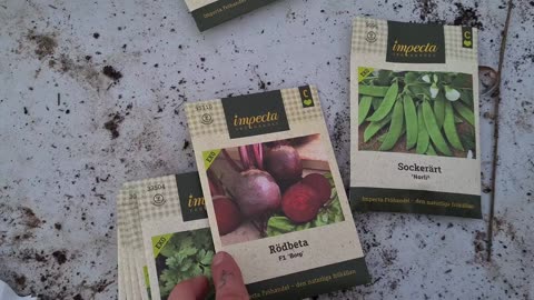 Welcoming baby plants to the world🌱