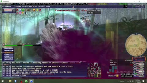 Playing Final Fantasy XI Online