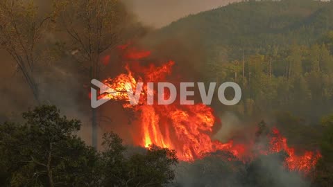 LA Forest Fire, Damages