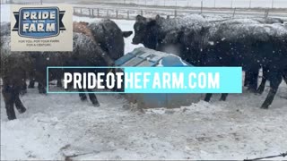 Trent Loos in the Morning - 11/05/2025