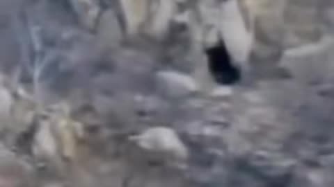 😨👻 Skinwalker Coming Out of Its Cave! A Terrifying Encounter | TheHauntingHour