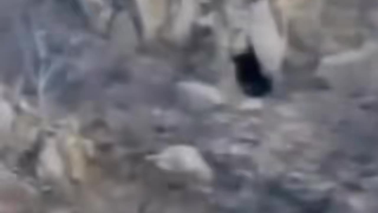 😨👻 Skinwalker Coming Out of Its Cave! A Terrifying Encounter | TheHauntingHour