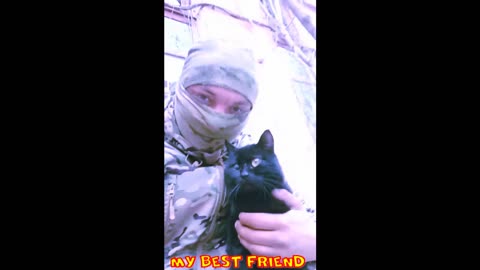 Dogs and Cats with Russian Armed Forces soldiers.