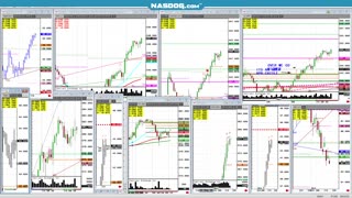 Feeders, All time highs, but