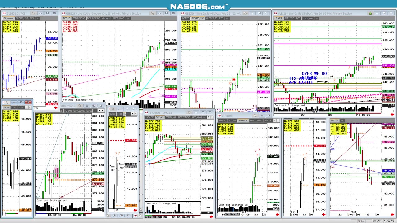 Feeders, All time highs, but