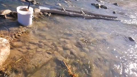 Sluicing at the river