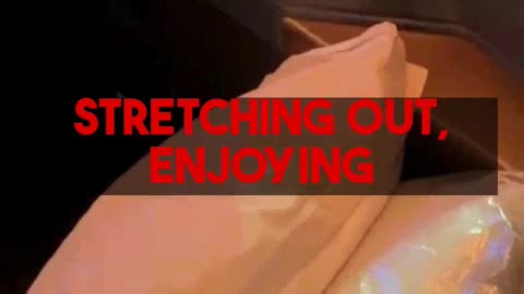 Business Class Airfare Deal - China Eastern $2,620 (Tokyo to Milan) Business Class