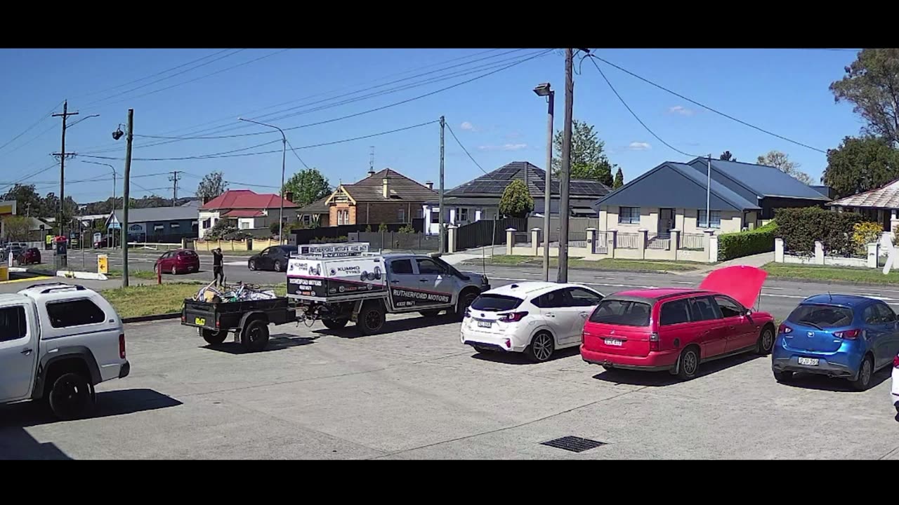Magpie Assaults Aussie Bogan