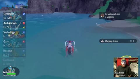 Looking For The Gold Fish