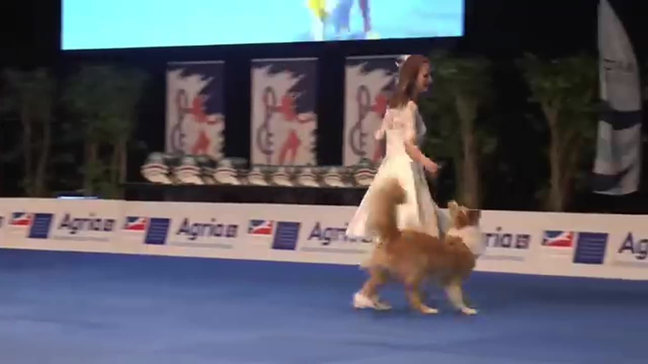 Dog Dancing World Championship 2022, Anastasiia Beaumont and border collie Yuki