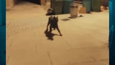 😨🔦 What Would YOU Have Done? Real Haunted Encounter | TheHauntingHour