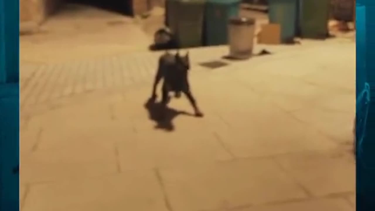 😨🔦 What Would YOU Have Done? Real Haunted Encounter | TheHauntingHour