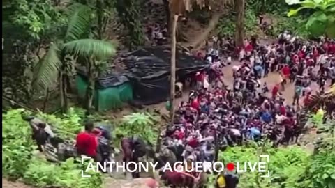 illegals crossing the Darian Gap on the Way to America right now