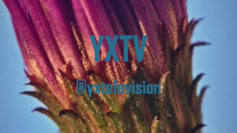 Ray Charles _ Hit The Road Jack