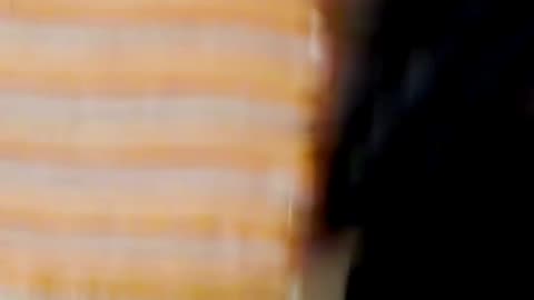 Ultimate Cheese Sandwich from @zachchoi - INSANE! FOLLOW & LIKE for More Food! 🧀🔥