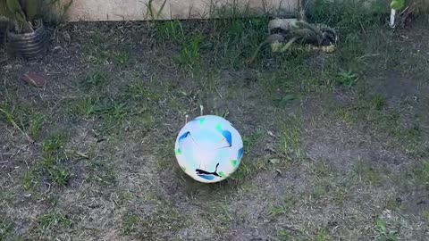 New Ball Didn't Last
