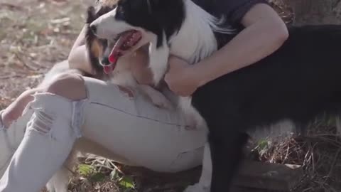 Woman petting dogs