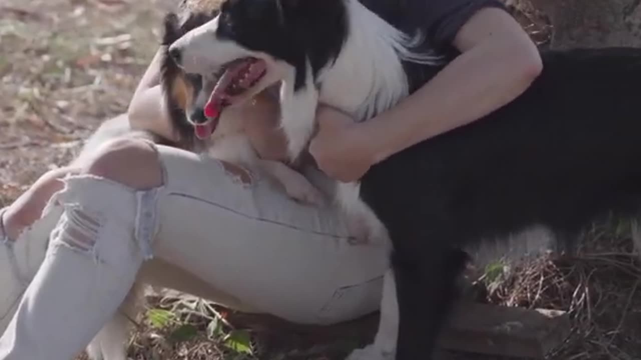 Woman petting dogs