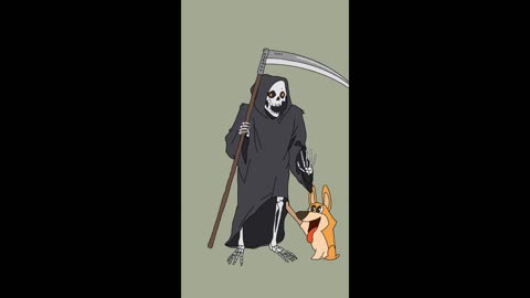 The detective dog