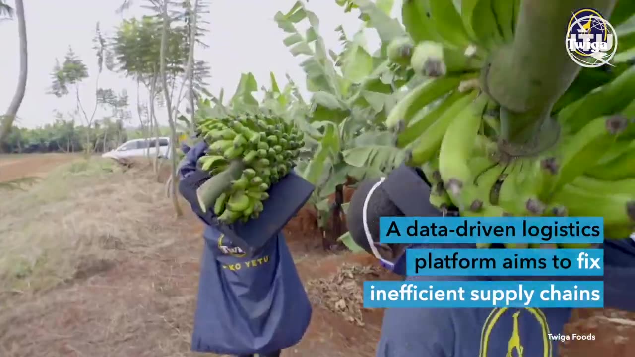 How technology can help prevent food waste