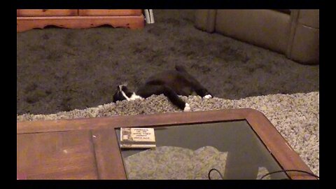 Milkshake vs rug