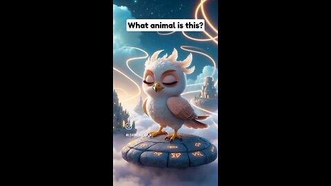 Kids Learn Animal Names 🦉🐦🐻 | What Is This Animal? | Fun Learning for Kids