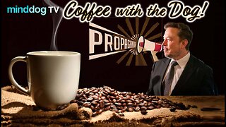 Skip navigation Search 10.4K 634 12.6K Create Avatar image Tuesday Bluesday EP1031