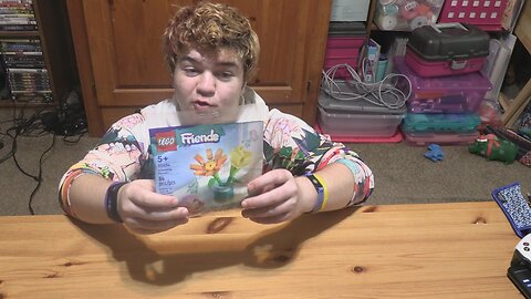 Build It Lego Friends Friendship Flowers