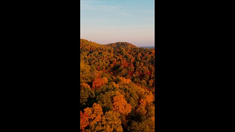 It’s almost fall in Kentucky