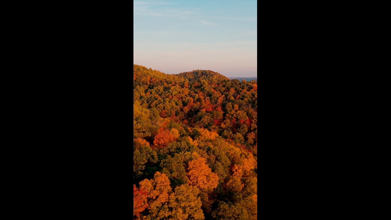 It’s almost fall in Kentucky