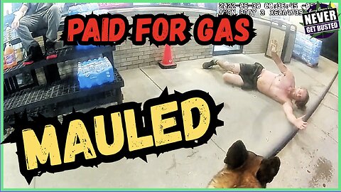 This K9 Bite Was 100% Unjustified (And the City Is Screwed)