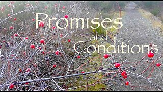 Covenants 6 — Promises and Conditions