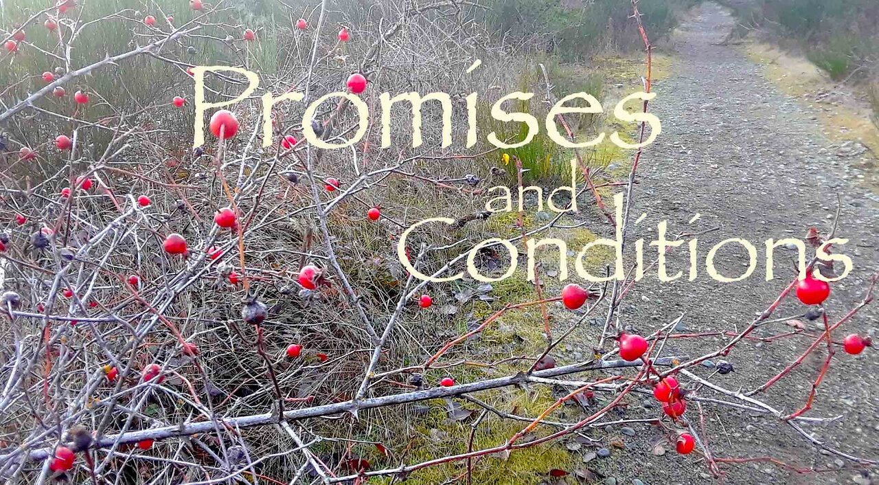 Covenants 6 — Promises and Conditions