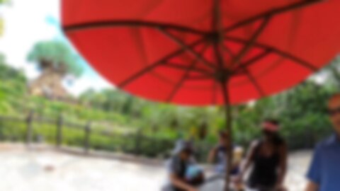 Blasian Babies Family 2025 Walt Disney World Animal Kingdom Theme Park Summer Vacation Day, Part 1