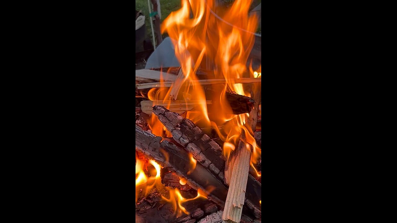 Chop Kindling with Machete ASMR Sounds #Fire #Chopping #Bushcraft