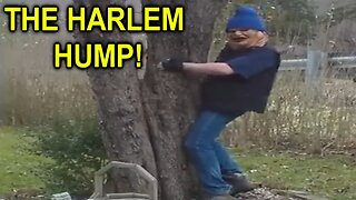 The Harlem Hump! (BDF)