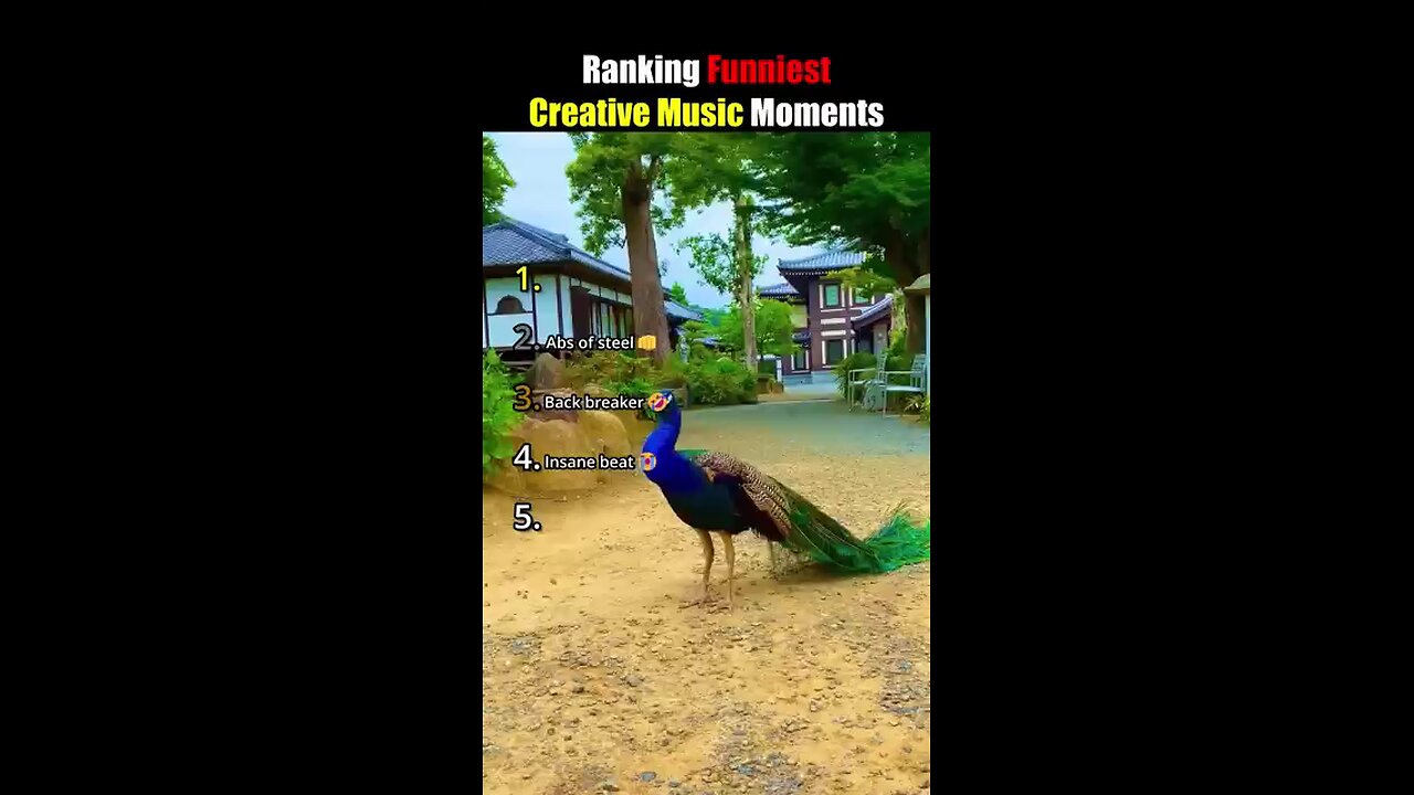 funny video you ever seen 😂