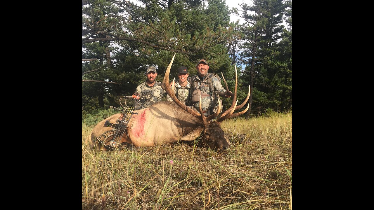 Archery Elk Hunt