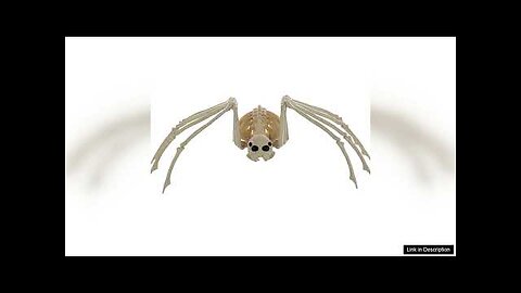 Spider Skeleton Halloween Decoration Review