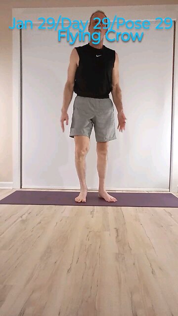 Flying crow / Eka Pada Galavasasana
