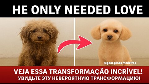 He Just Needed Love 💔 See This Incredible Transformation!