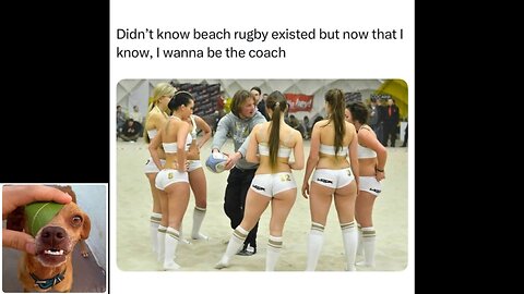 Memes That Will 99.0591% Make You Laugh. (e815)