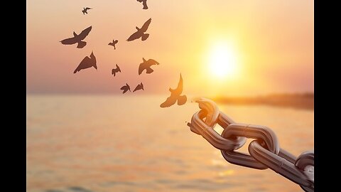 Alandra : Témoignage d'un survivant enfant MK Ultra soldat temporel esclave de la Fausse Matrice (3)