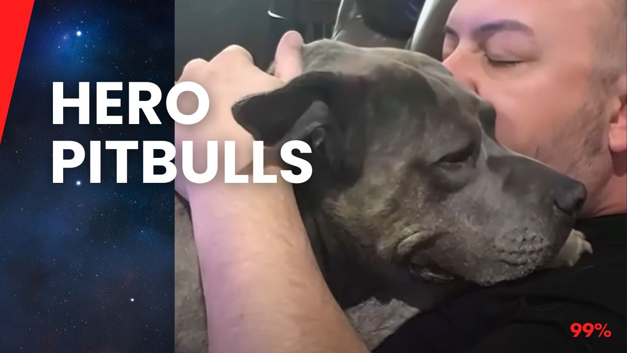 Man Rescues Two Pitbulls: Shocking Way They Save His Life