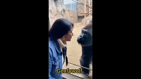 new #military #new #virlsshort