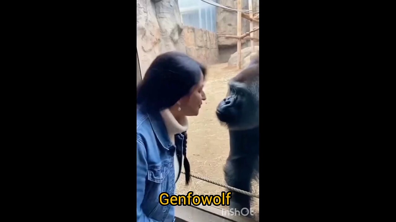 new #military #new #virlsshort