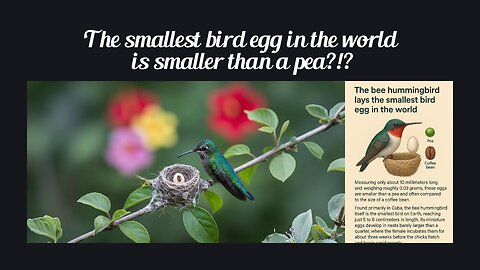 Fun Fact for Dec 31st 2025