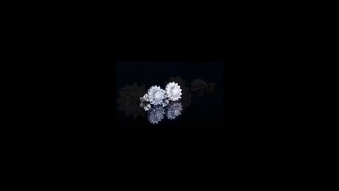 WinstonMall Luxury Fine Jewelry Earring