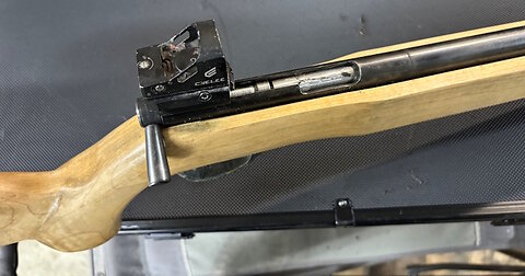 A bespoke bolt-Action .22 Single-Shot