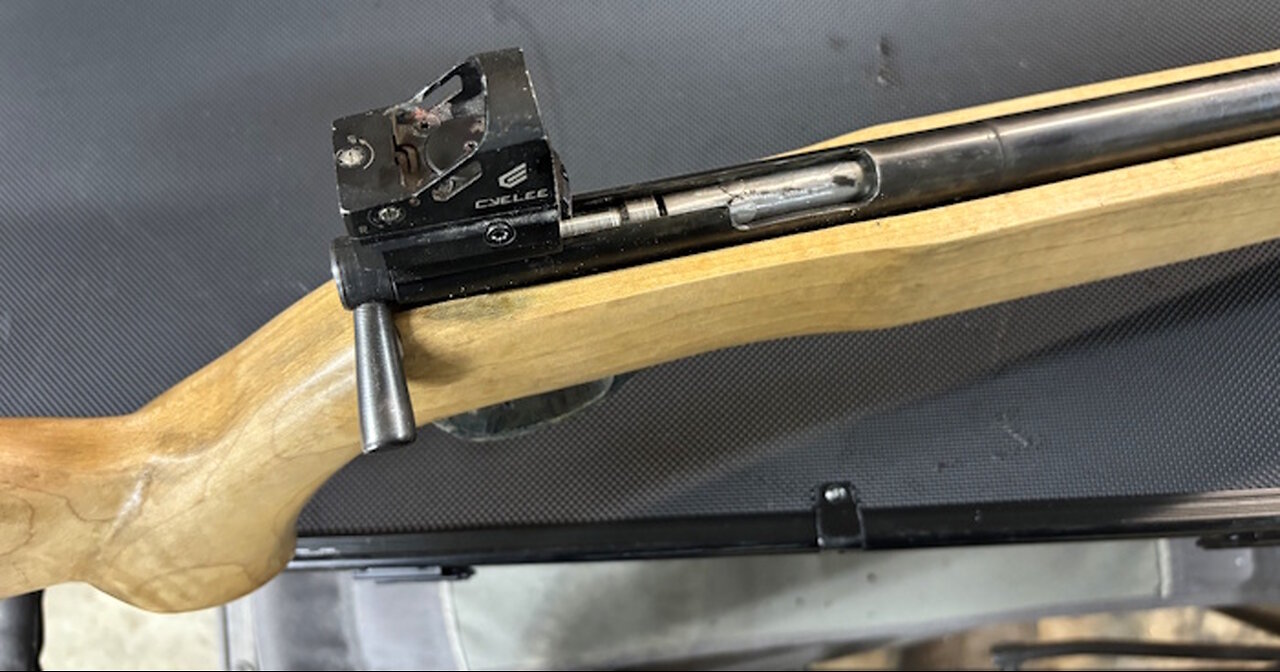 A bespoke bolt-Action .22 Single-Shot